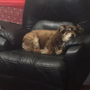 Meet your Posher, Tim